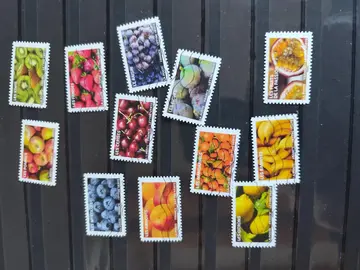 fruits a savourer série complète