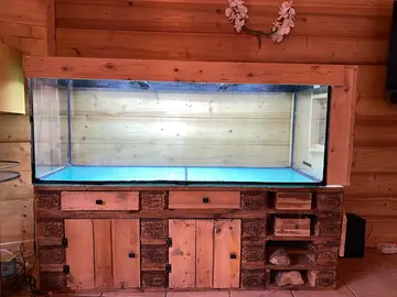 aquarium 450 litres avec filtres et racines