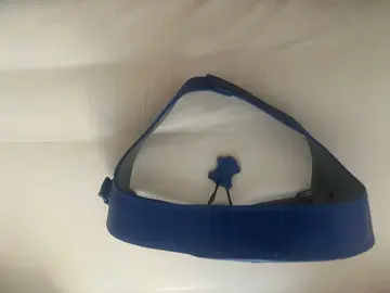 harnais en cuir bleue pour chien