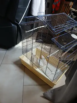 cage a oiseaux