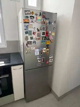 Frigo Bosch