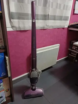 aspirateur balai Electrolux