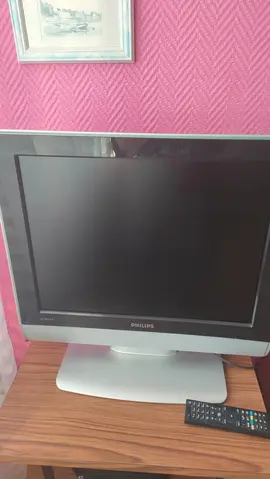 PETITE TELEVISION