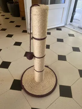 griffoir arbre à chat