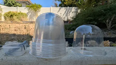Lot de 10 cloches et leurs pisquets
