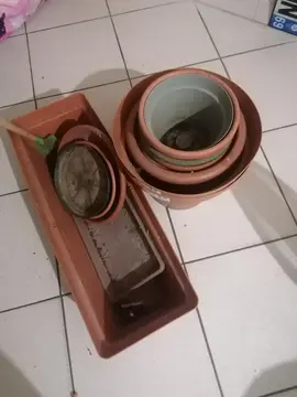 pots de fleurs