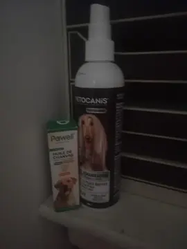 lotion chiens