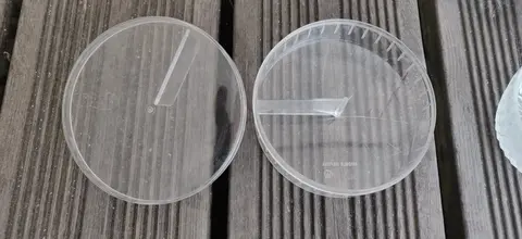 boîte de conservation pour camembert