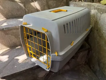 caisse de transport pour animaux