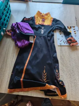 costume Anna reine des neiges 3/4.