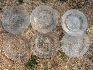 6 ASSIETTES PLATES