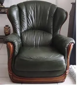 Salon en cuir
