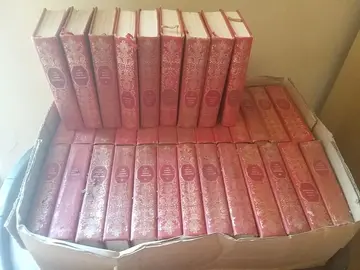 lot de livres reliés rouge et or les grands romans historiques