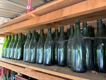 champenoise / bouteille à cidre