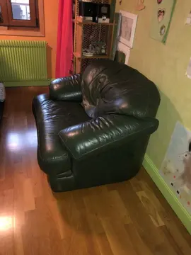 Fauteuil en cuir