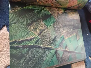 livre la terre vue du ciel