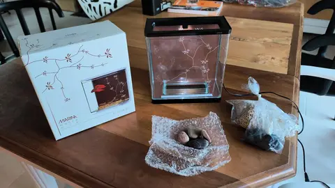 aquarium pour combattant beta
