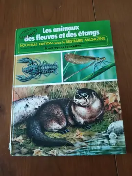 livre BD..les animaux.....