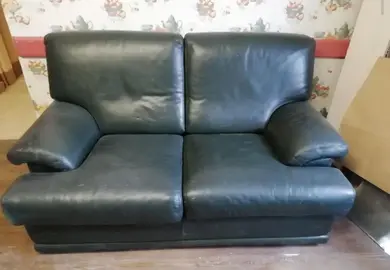 canapé vert cuir non convertible