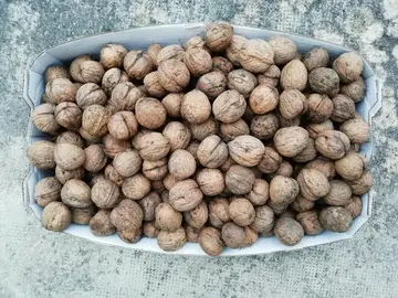 Quelques noix
