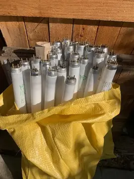 tubes néon
