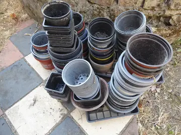 100 pots plastique
