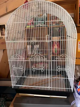 cage oiseau