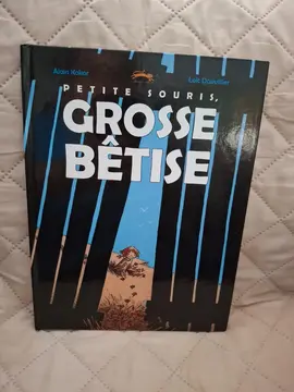 BD Grosse Bêtise