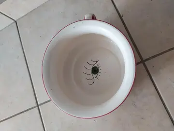 pot de chambre jeunes mariés