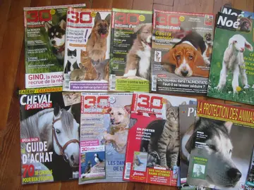 Lot de magazines sur les animaux, avec quelques posters