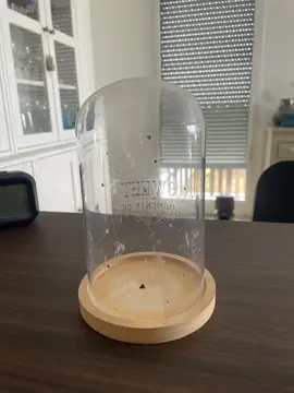 cloche en verre
