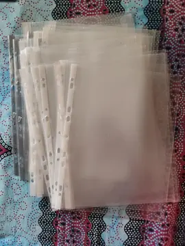 Lot 1 de 25 pochettes perforées