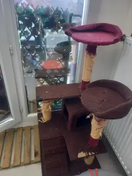 arbre à chats