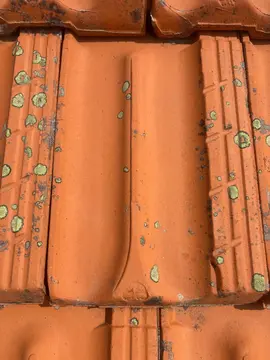 Don de tuiles de Marseille – 22 × 42 cm