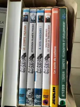 DVD