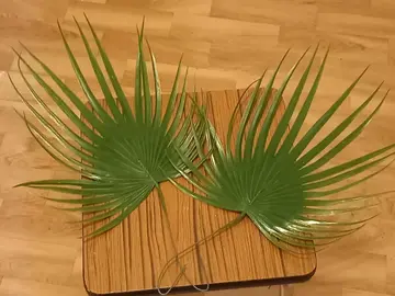 feuilles de palmiers en plastique