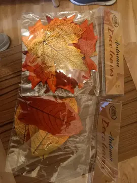 lot de feuilles d'automne pour loisirs créatifs