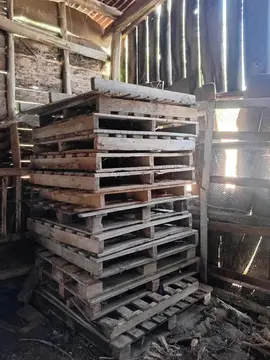 Lot de palettes en bois