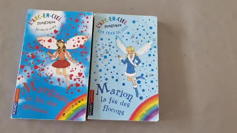lot de 2 livres les Fées