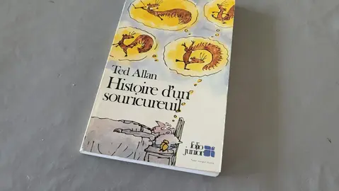 livre enfant
