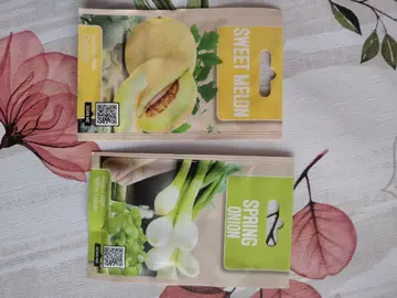 Graines de melons et ciboules