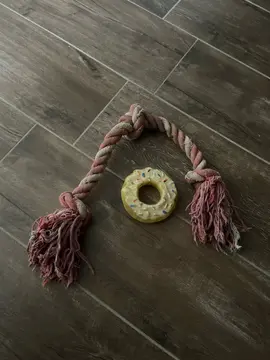 jouets pour chiens