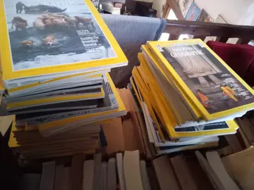 lot de 110 National Geographic