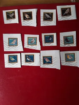 lot timbres oiseaux