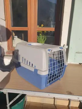 caisse de transport pour chat