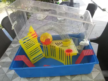 cage hamster