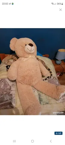 ours en peluche
