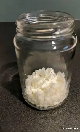 Donne grains de kéfir de lait