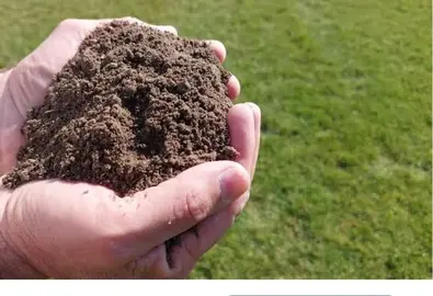 terre végétale