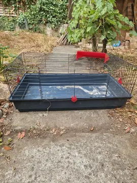 cage a lapin